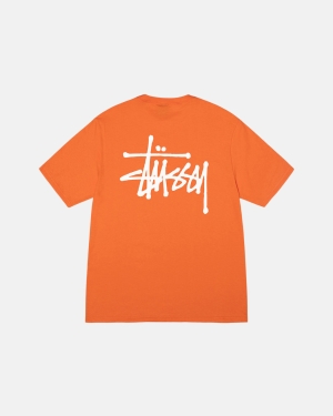 Běžecké Tričko Stussy Basic Stüssy Koralove | FHVN43251