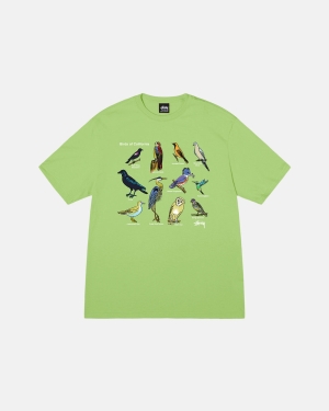 Běžecké Tričko Stussy California Birds Tea | KQSU49872