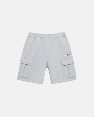 Šortky Stussy Sportovní Fleece Šedé | ZCVM62459